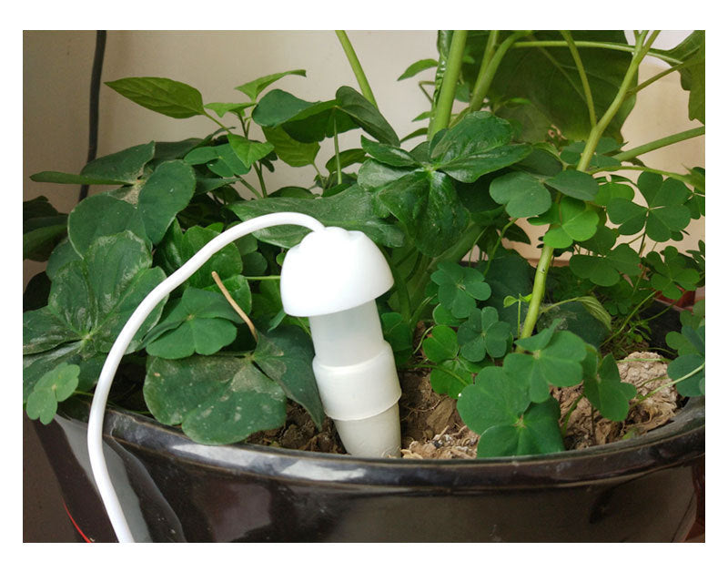 Infilltrateur d'eau pour votre jardin