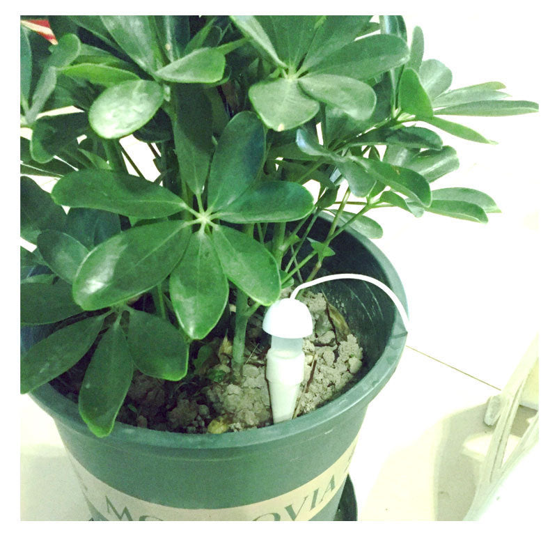 Infilltrateur d'eau pour votre jardin